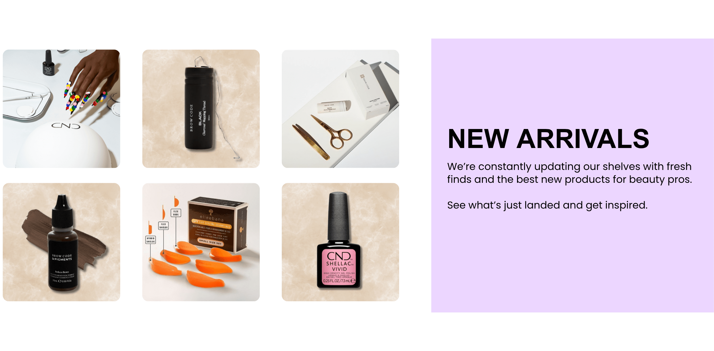New Arrivals